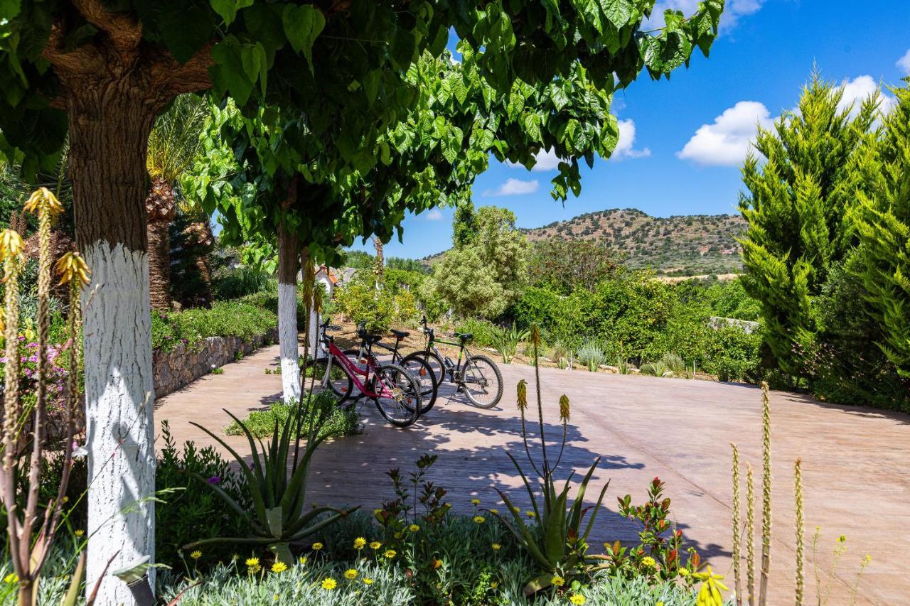 Alonia Villa, magic ambience, By ThinkVilla Melidhónion Esterno foto